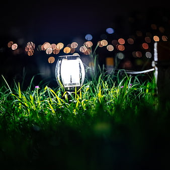 Glowing Solar Lantern in Green Grass at Night with Bokeh