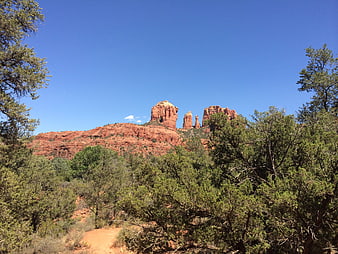 Sedona Red Rock Formations with Pine Trees and Blue Sky