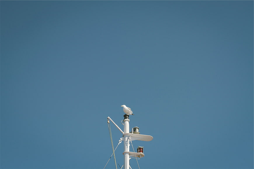 Seagull perched on white boat mast against clear blue sky