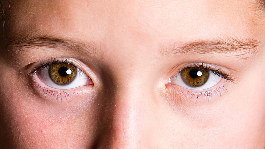 Close-up of brown eyes with detailed iris texture