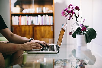 Man Typing on Laptop at Glass Desk with Orchid