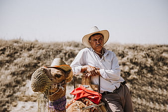 Senior man in hat posing with camel in arid desert landscape
