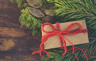 Rustic cardboard gift box with red twine on pine branches