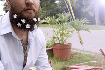 Man with white flowers in beard outdoors