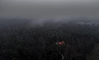 Aerial view of red-roofed cabin in foggy forest