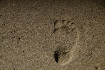 Single Bare Footprint in Wet Sand on Beach