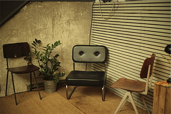 Vintage Chairs and Plant in Rustic Interior Corner