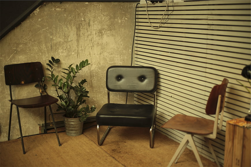 Vintage Chairs and Plant in Rustic Interior Corner