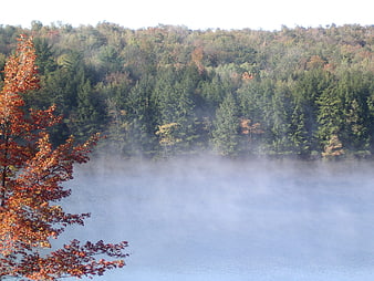 Misty Autumn Lake with Vibrant Red Foliage
