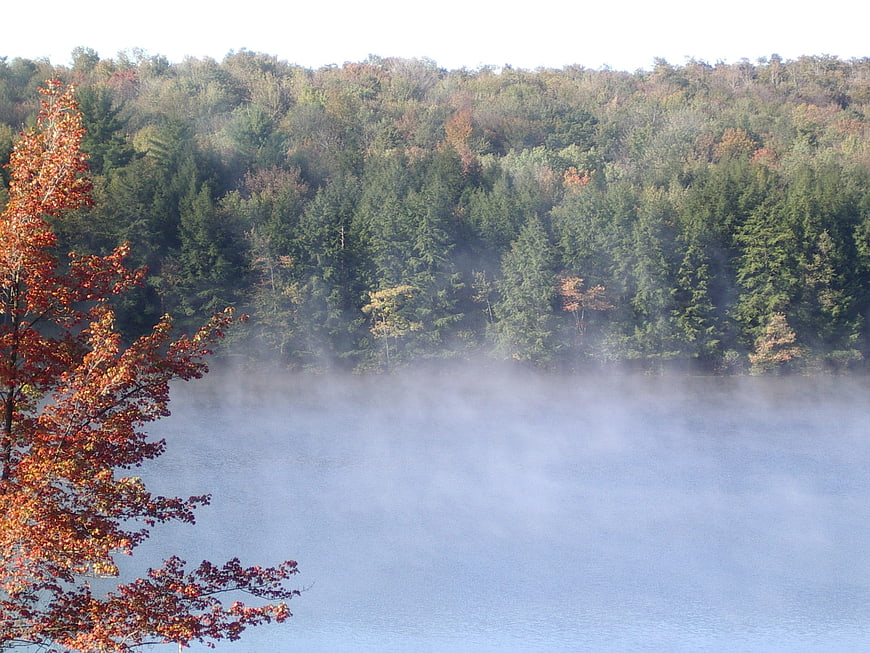 Misty Autumn Lake with Vibrant Red Foliage