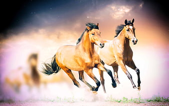 Two galloping chestnut horses kicking up dust in a dramatic landscape