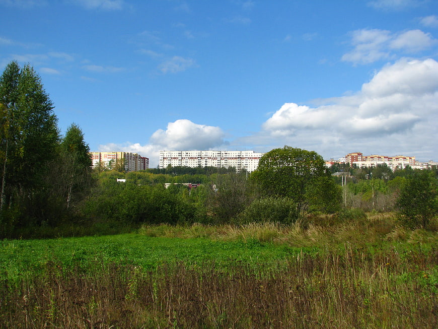 Summer landscape with green field, trees, and distant apartment buildings