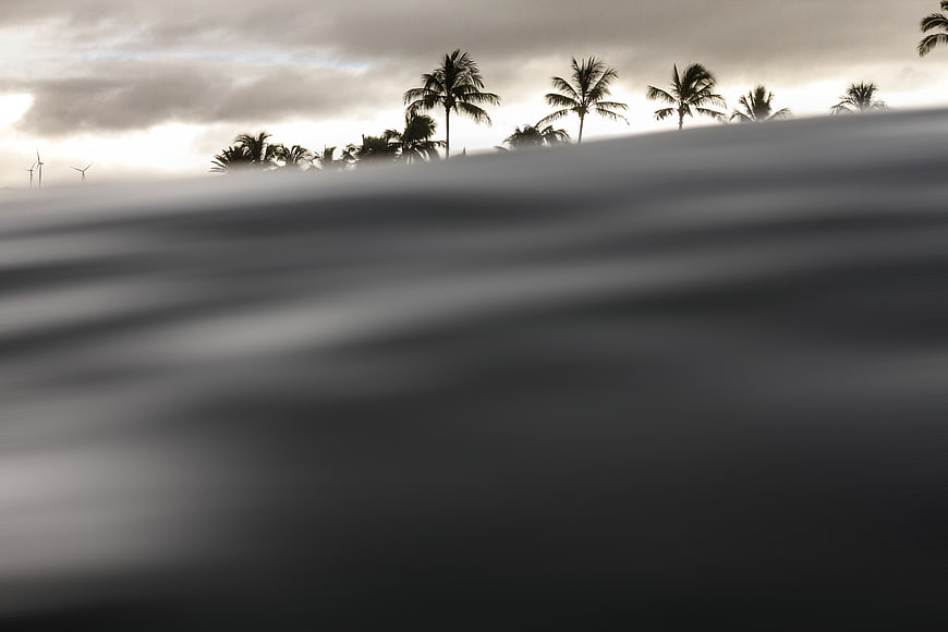 Silhouetted Palm Trees and Wind Turbines Over Smooth Water