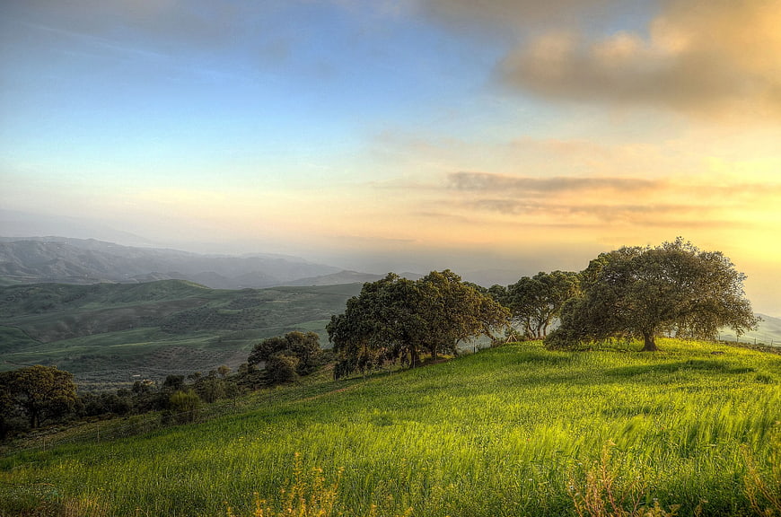 Sunlit Green Hills with Oak Trees and Distant Mountains