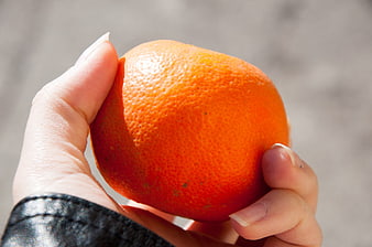 Close-up of hand holding fresh orange fruit