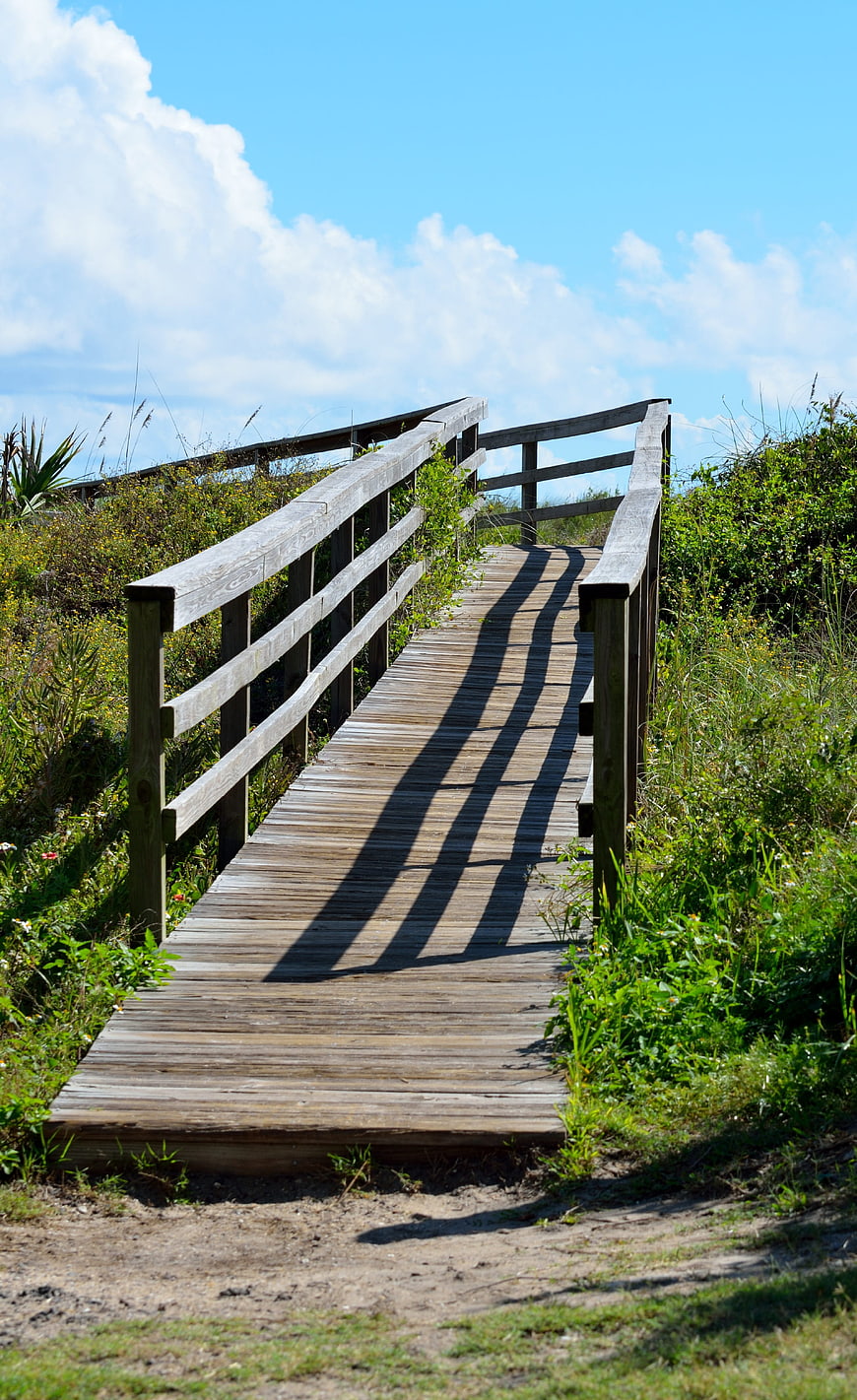 Wooden boardwalk path leading up a grassy dune to blue sky