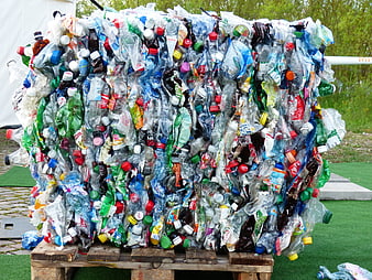 Compressed bale of recycled plastic bottles on wooden pallet