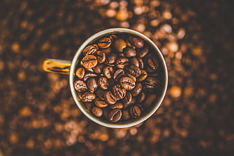 Top View of Coffee Cup Filled with Roasted Beans
