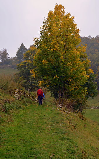 Hikers walking on a grassy trail in autumn landscape