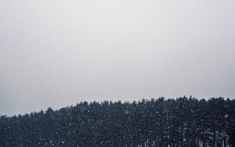 Snowy Forest Landscape with Heavy Snowfall and Grey Sky