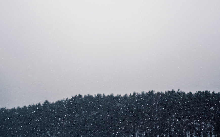 Snowy Forest Landscape with Heavy Snowfall and Grey Sky