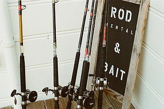 Fishing Rods and Rental Bait Sign on Wooden Deck