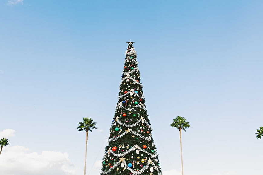 Tall Christmas Tree with Palm Trees Against Blue Sky