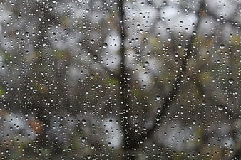 Raindrops on a window with a blurred outdoor background