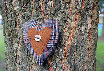 Handmade Fabric Heart Ornament Hanging on Tree Bark