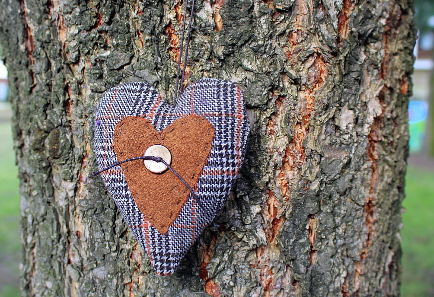 Handmade Fabric Heart Ornament Hanging on Tree Bark