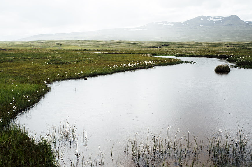 Serene Icelandic Landscape with Winding River and Distant Mountains