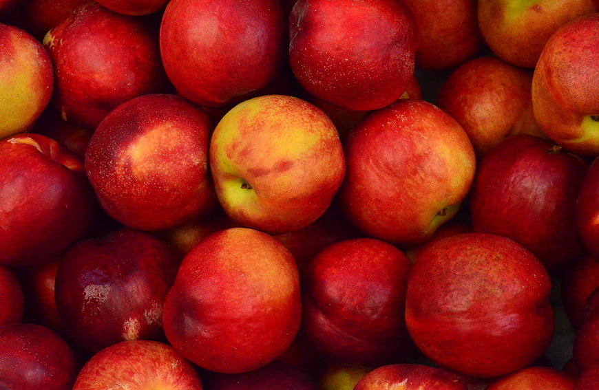 Close-up of fresh red and yellow apples in a pile