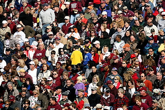 Diverse crowd of football fans in stadium stands