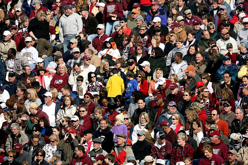 Diverse crowd of football fans in stadium stands