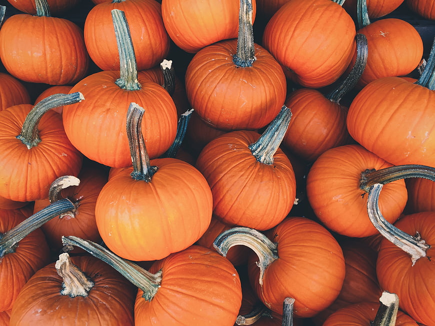 Top View of Fresh Orange Pumpkins Piled Together