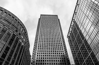 Black and White Skyscrapers Looking Up