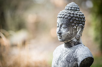 Stone Buddha Statue Head in Serene Garden Setting
