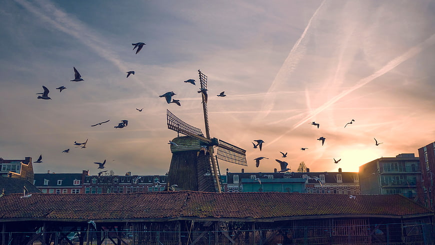 Traditional windmill with flying birds at sunset
