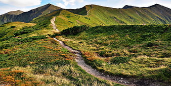Winding hiking trail through green mountain landscape