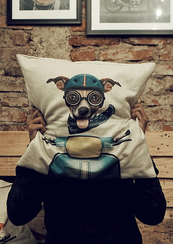 Person holding dog scooter cushion against brick wall
