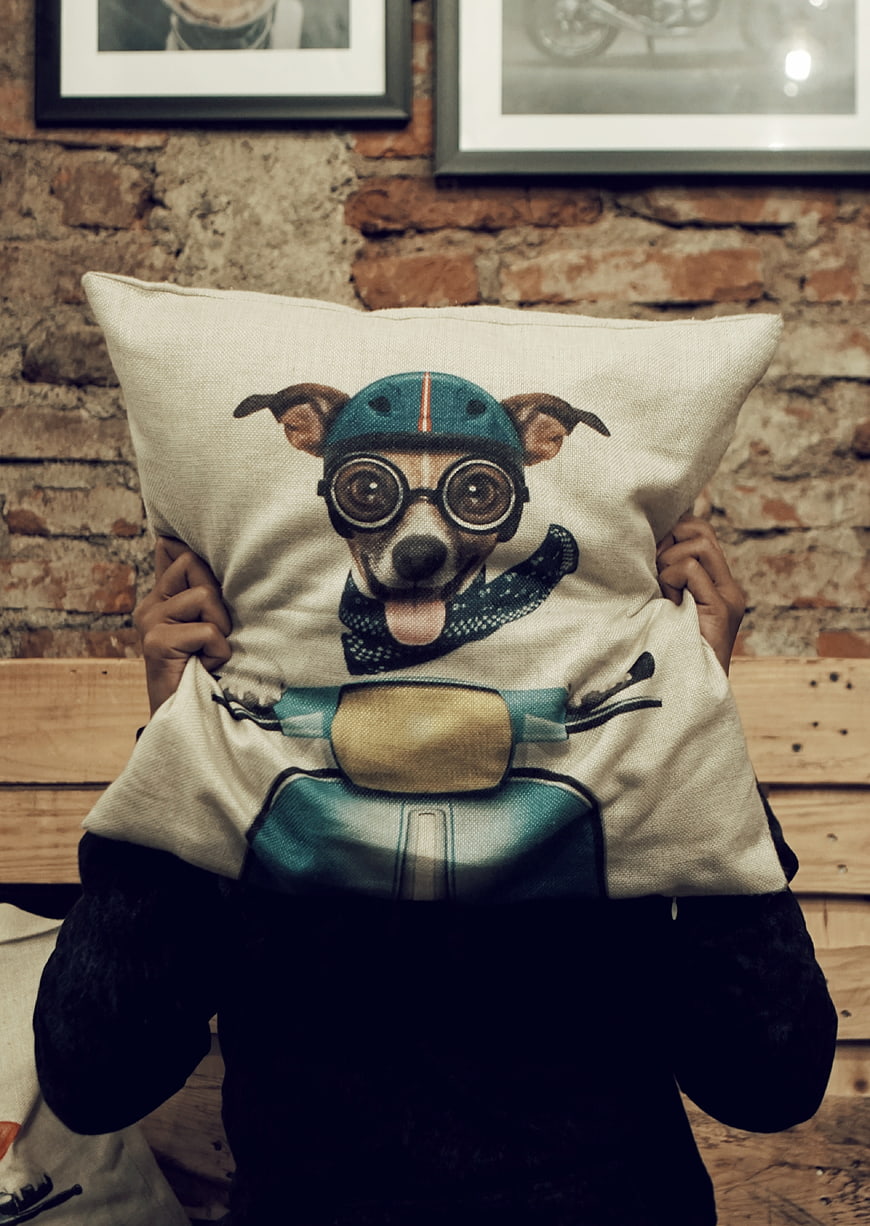 Person holding dog scooter cushion against brick wall