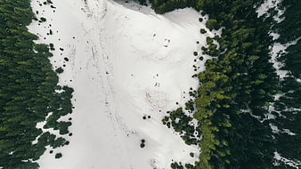 Aerial View of Snowy Forest Clearing with Skiers