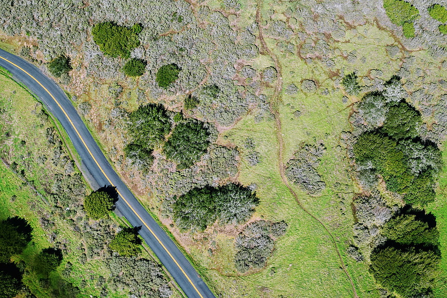 Aerial View of Winding Road Through Green Coastal Scrubland