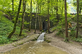 Stone Tunnel in Lush Green Forest with Stream