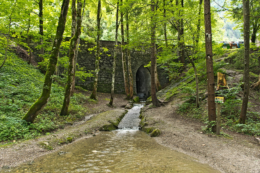 Stone Tunnel in Lush Green Forest with Stream