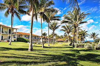 Tropical Hotel Resort With Palm Trees And Lush Green Lawn