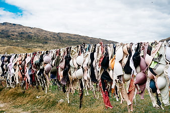 Colorful Bras Hanging on Fence in Mountain Landscape