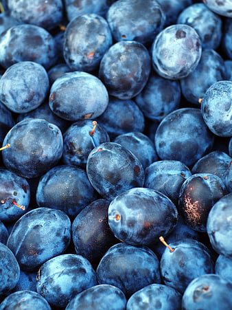 Close-up of fresh blue plums with natural bloom texture