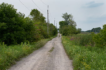 Rural gravel road winding through lush green summer landscape