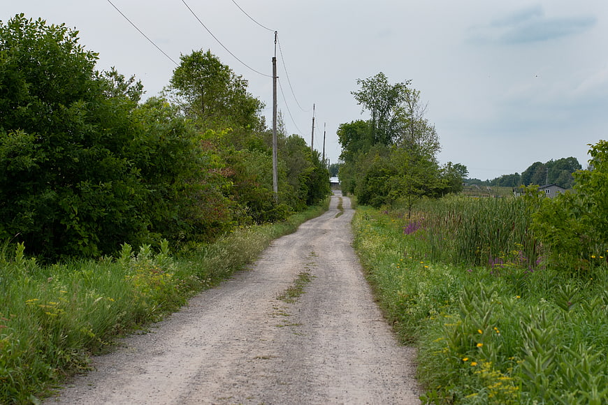 Rural gravel road winding through lush green summer landscape